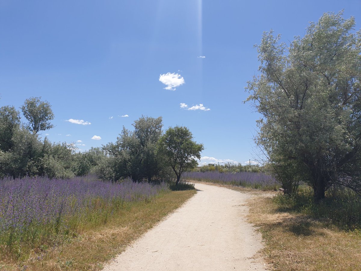 Maria_del_72_'s tweet photo. Voy por el camino correcto 🚶🏼♀️. El camino que con las experiencias vividas, mis recursos y herramientas personales, mi situación actual y el corazón, soy capaz de transitar en este momento ☺️.
#intensitwit #conlospiesenelsuelo #sinjuzgarme https://t.co/Zwr3E8YaAX