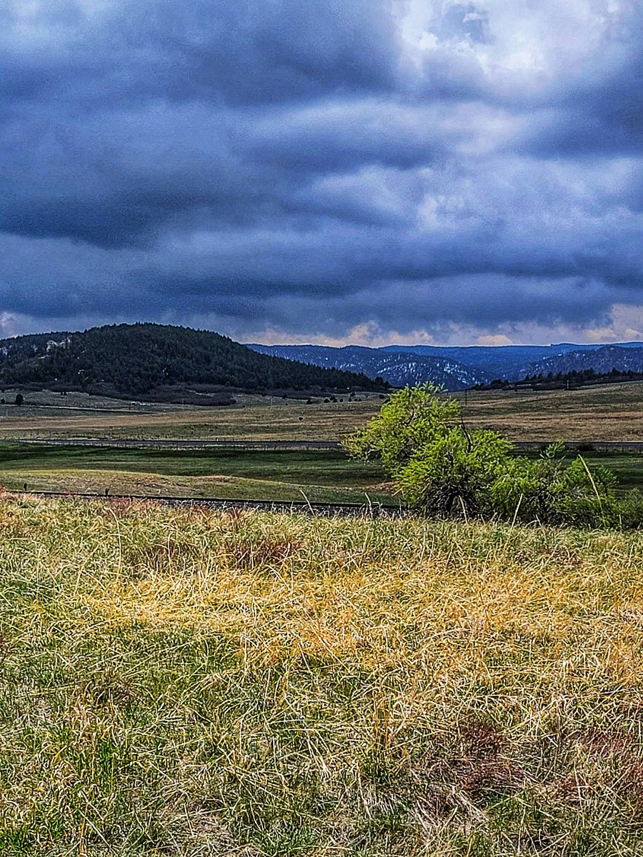 wander4insp's tweet photo. Greenland, Colorado is surrounded by thousands of acres of open space and miles of trails.
These include the Greenland Trail, the Spruce Meadows Trail with its cows, and the Spruce Mountain Trail with views of the Greenland area.
#ViewsFromColorado #Ranchland #HikingTrail https://t.co/9nnR7kEuG7