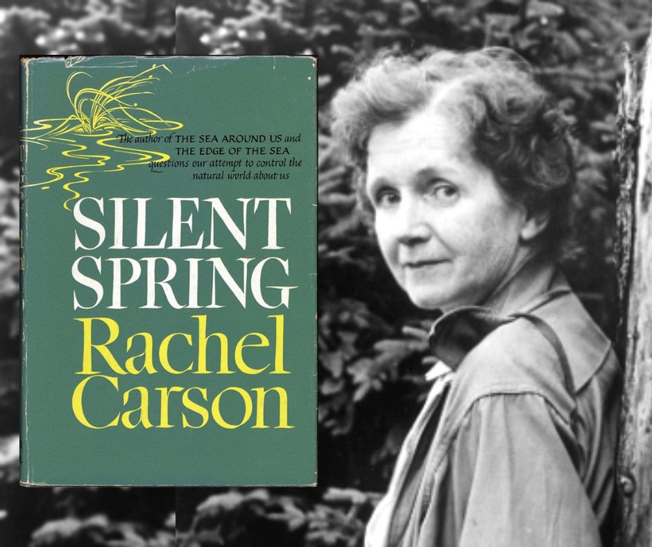 Happy Birthday, to our very own Rachel Carson! She was a beloved ANS member, former board president, and gifted writer. 

Her most famous work, Silent Spring, launched the modern environmental movement and led to the creation of the EPA.  She remains one of our guiding lights.