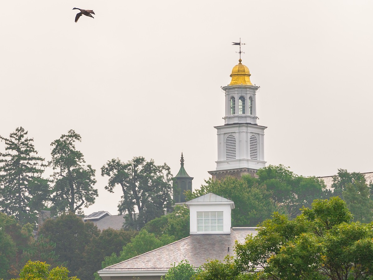 colgateuniv's tweet photo. Today we welcome #Colgate2020 and their families back to campus. For more about the weekend events: https://t.co/8ma1xyapZq https://t.co/QCtBzRrOk5