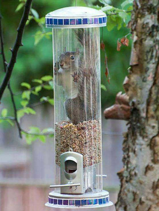 Caption This... 😁

Me: I think I made a Huge Mistake 🐿       🙃😭🤣😂