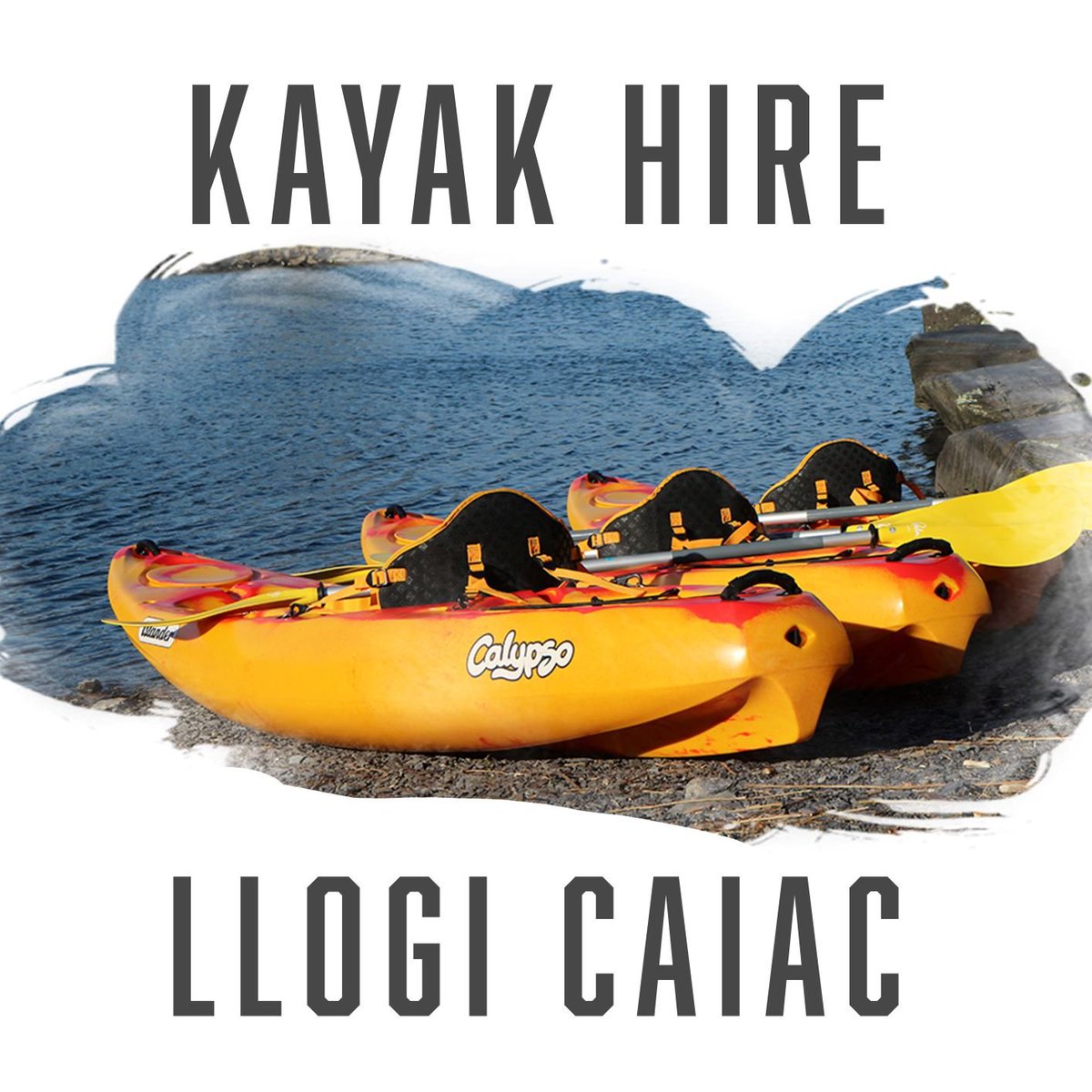 Boulder Adventures tweet media