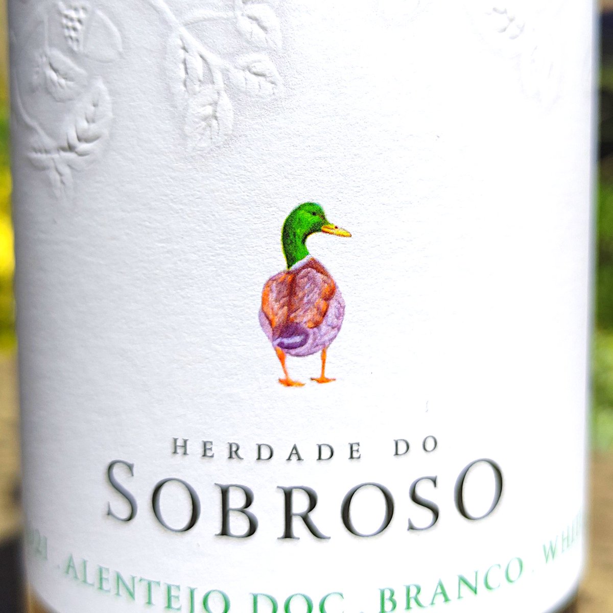 At this #FreeFridayTasting we can't wait to open @herdade_do_sobroso range of wines: Rose-Branco-Branco Reserva-Tinto-Tinto Reserva 
Drop in the shop any time between 5-7:30 this evening and we'll be happy to share them with you. #Alentejo #Wine #WineTasting #shoplocal