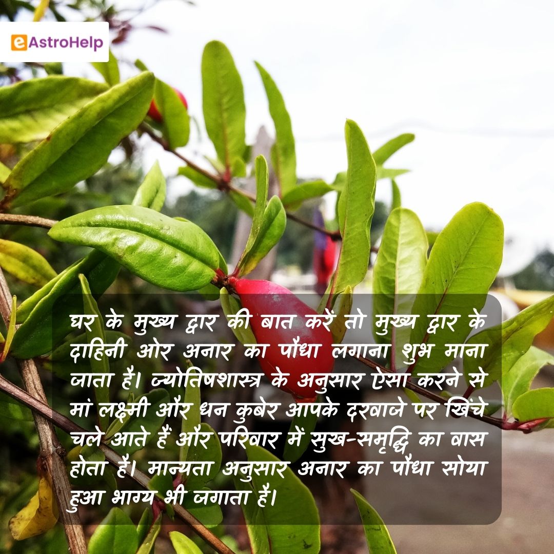 AstrohelpE's tweet photo. Daily Astrology Tip - 27 May 2022

For more Astrology Related Blog Visit https://t.co/W5G76PQMlh

#astrologytips #plantvastu #zodiacposts #vastushastra #vedicastrology #eAstrohelp #horoscopetoday https://t.co/jXCggJ8FIL