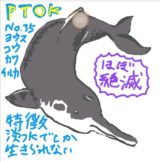 エコーロケーションのtwitterイラスト検索結果