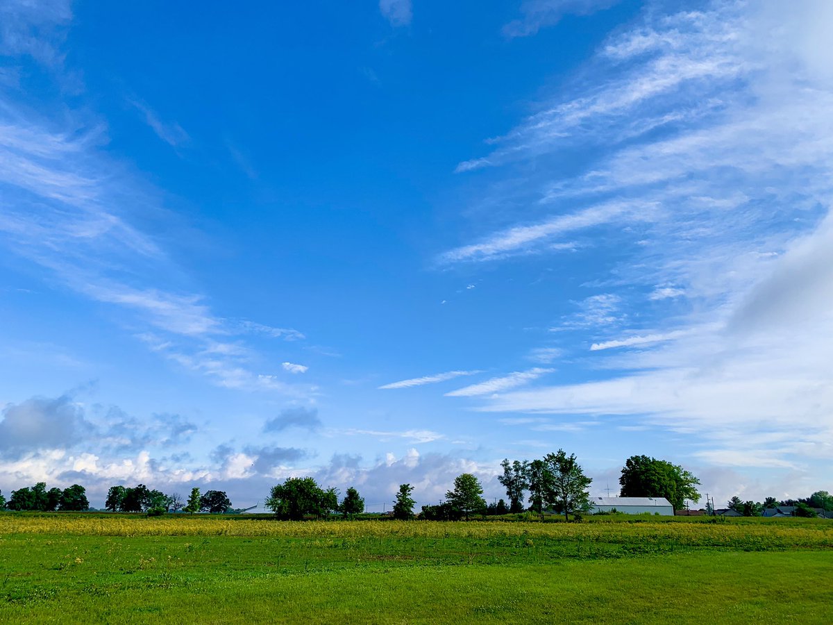 ThomasAKlein1's tweet photo. Nice view as I was walking to my car from the office. I like the blue sky mixed with the cloud patterns and the green below it.#pastoral #farmland #bluesky #cloudpatterns https://t.co/HIzsg3P7NM