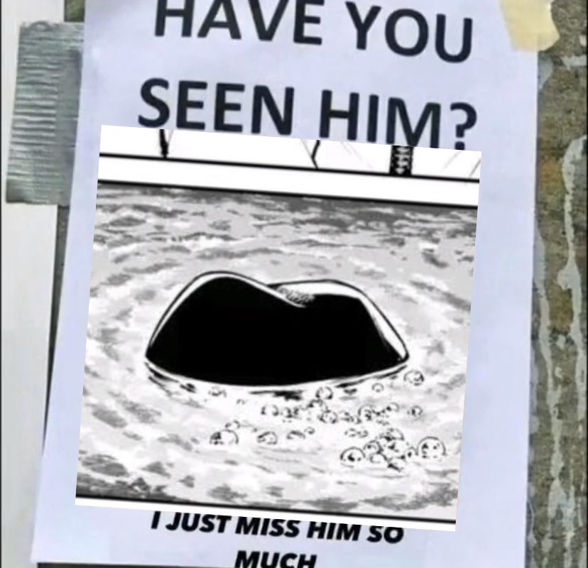 hourly chuuya (@hourlynakahara) on Twitter photo 