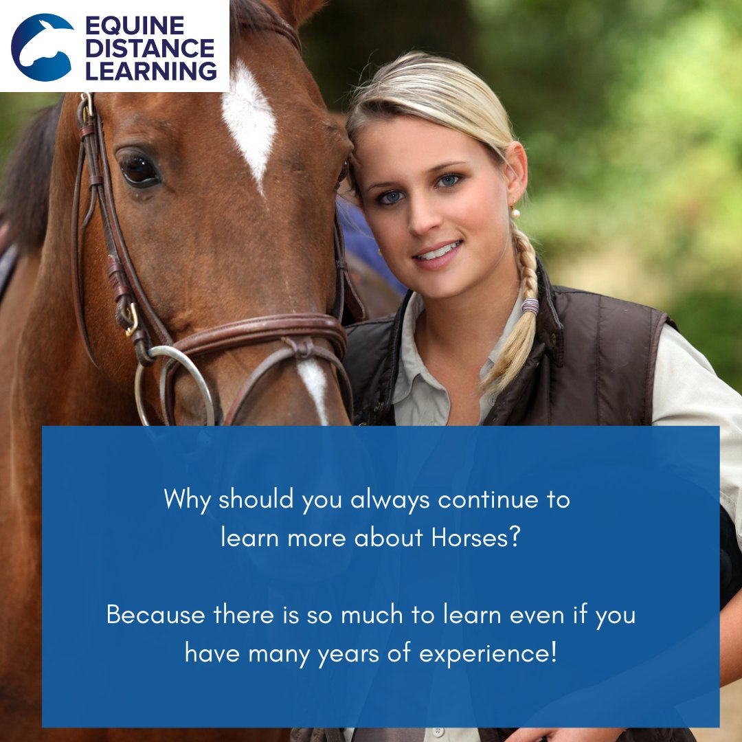 equinedl's tweet photo. Congratulations Arlene on completing your @BritishHorse Challenge Award, Part One in Horse Knowledge, and good luck with Part Two! No matter how experienced an equestrian you are it is important to keep learning! #horse #equestrian #horsecare #horsewelfare #horsecourse https://t.co/PmRvUiyhhd
