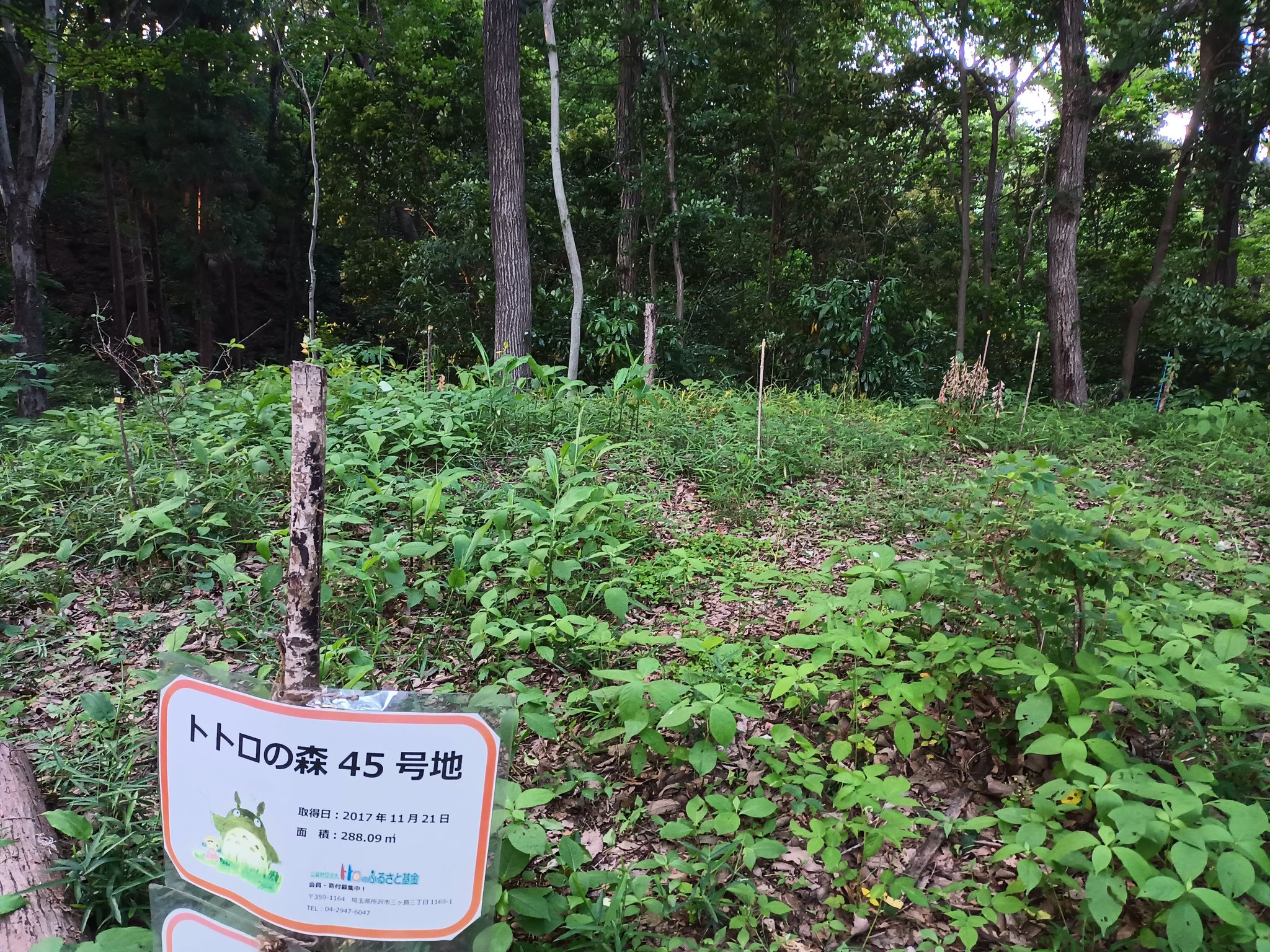 八国山病院 Twitter Search Twitter