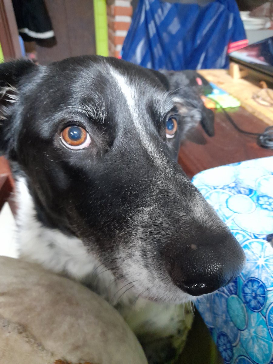 alesdeba63's tweet image. #LiberenACoco #LiberenACocoYa