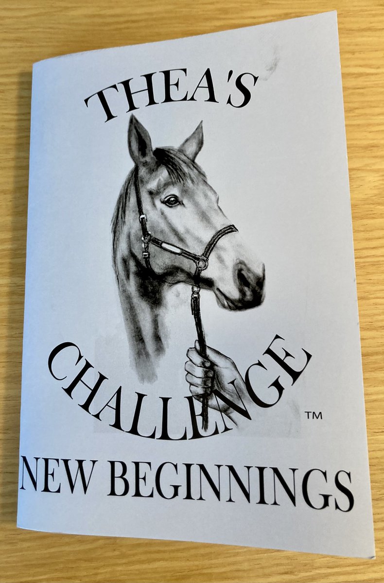 MariaCanEmb's tweet image. Delighted to attend the launch of Alison McNamara’s book ‘Thea’s Challenge’ by @Lettiemccarthy who spoke about #kindness, “kindness is no burden, there is no weight in it”. The kindness of Alison means that all proceeds of the book will go to support meals on wheels in Ireland.