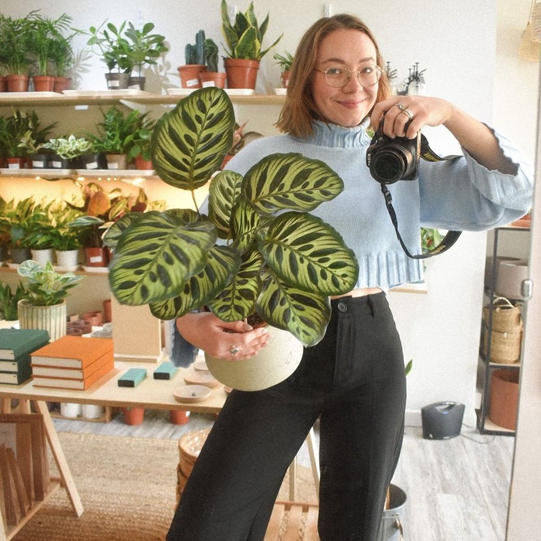 thewattclub's tweet photo. Have you visited this alumnae’s dreamy houseplant shop in Portobello? @HWU_EGIS Marine Biology Graduate Holly Johannessen launched Holly Grows after graduating during lockdown & after a year of trading online, moved to permanent digs on Brighton Place in 2021. #WattOfTheWeek https://t.co/5yCAIJjR1v