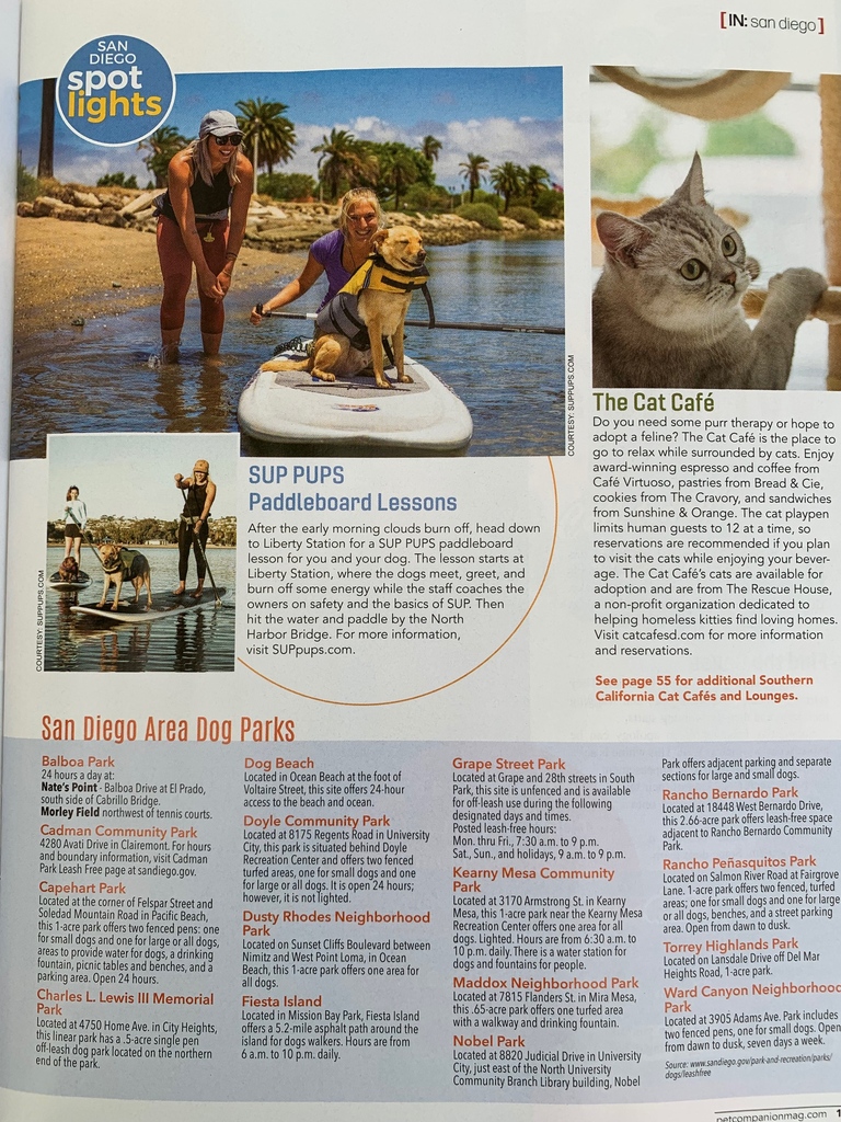 PetCompMagz's tweet image. Road Trip! Spend the day in San Diego for doggie paddleboard lessons, cat cafes, dog parks, and more. View full article on our website for more information on reservations!
#petcompanionmagazine #sandiego #suppups #catcafe #dogpark #dogpaddleboarding #doggiesdayout