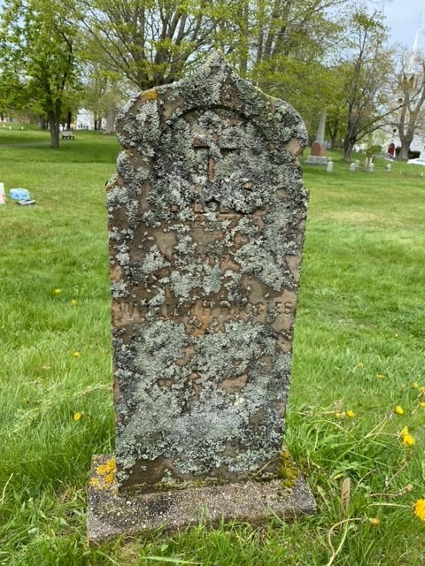 ParksCanada_NS's tweet photo. It’s time for a little “spring cleaning”! Volunteers from @mapannapolis1 set to work following a course by @ParksCanada conservators on how to properly clean gravestones. #FortAnne @townofannapolis https://t.co/RVKKmOFOCg