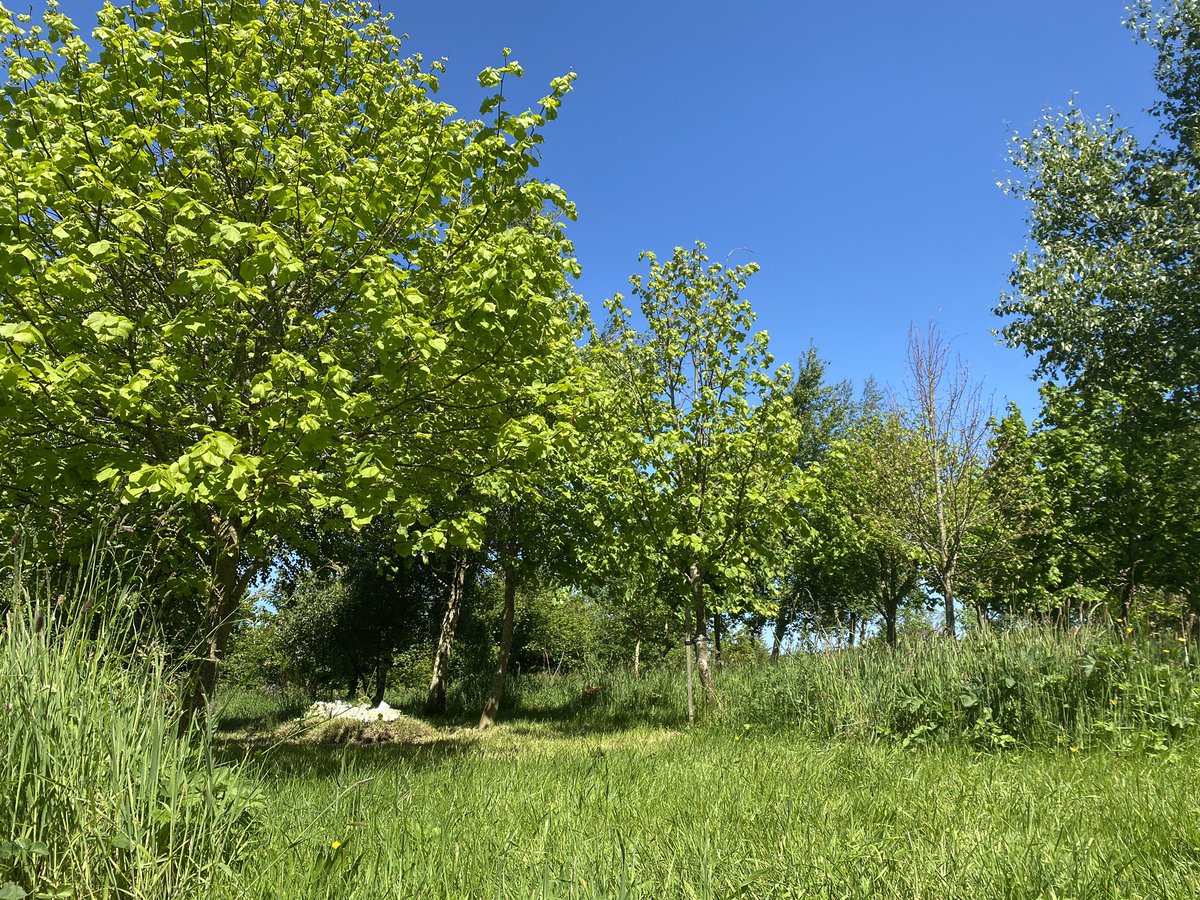 The sun is beating down!