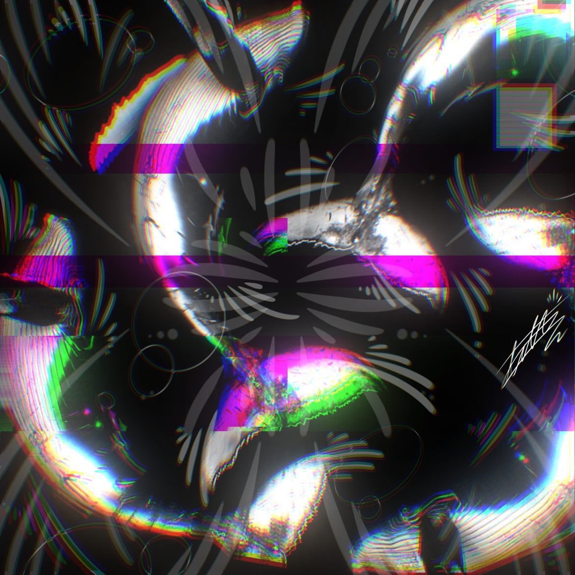 Ne:on_NFT tweet media