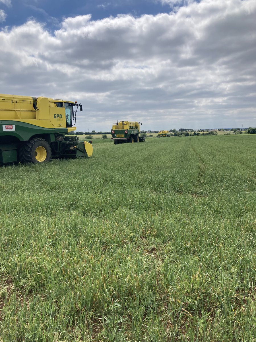 FlorentSimmonet's tweet photo. Jour j pour les petits pois bio. Récolte par 5 machines passant de champ en champ sur ⁦@NiortAgglo⁩. Tout cela grâce à l’#irrigation. ⁦@CAVAC_⁩ ⁦@Mairie_Niort⁩ #pat https://t.co/1murjOxOKW