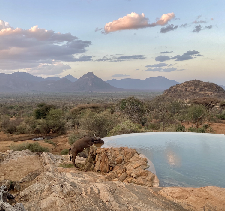 Holiday Finder tweet media