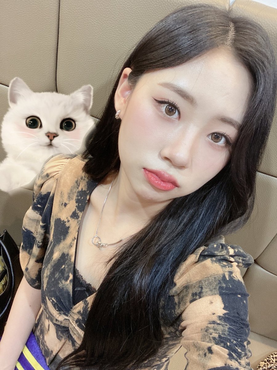 dosiethinker's tweet photo. 🐱🐰🤍 https://t.co/Jy6AdSRnro
