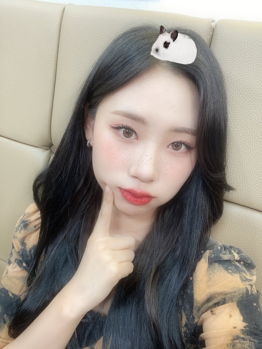 dosiethinker's tweet photo. 🐱🐰🤍 https://t.co/Jy6AdSRnro