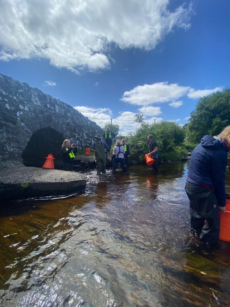 WatersProgramme's tweet photo. The LAWPRO Catchments Team continue with macroalgal training with Dr Martin Kelly of NUIG . Today we are in the Owenriff River Priority Area for Action. #Biosecurity #CatchmentScience https://t.co/6MtYj4PyeX