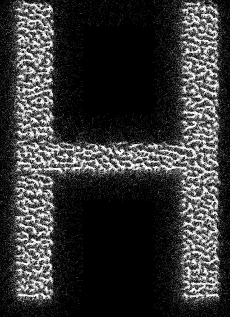 RonTheEthernet's tweet photo. Experimenting with fonts, physarum and WebAssemly

#generative 
#physarum https://t.co/rlLD2UrzcM