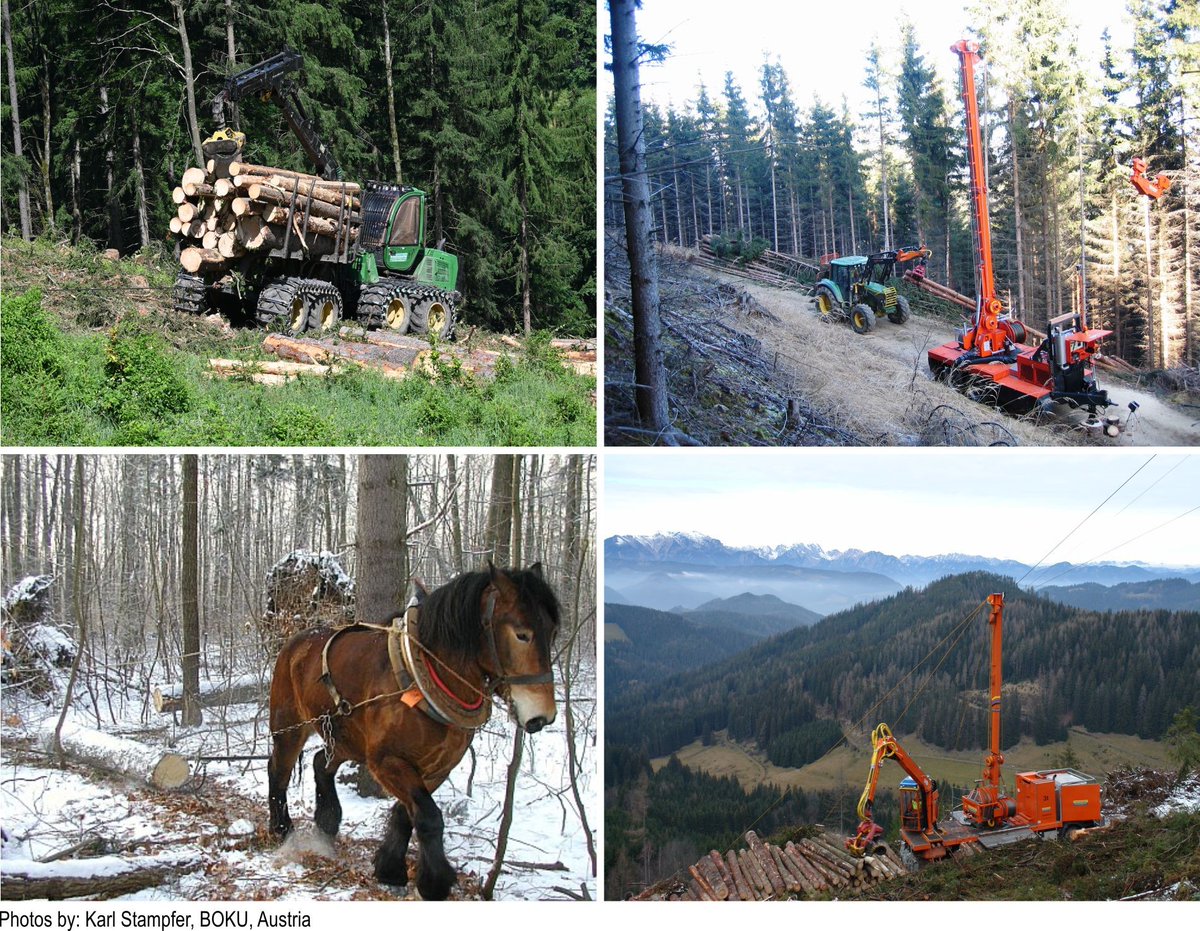 wltdpoznan's tweet image. #Technodiversity: Harmonising European education in #forestengineering by implementing an e-learning platform to support adaptation and evaluation of #forest operations - wtd.up.poznan.pl/en/page/techno….

@EUErasmusPlus @ErasmusPlus_PL @up_poznan