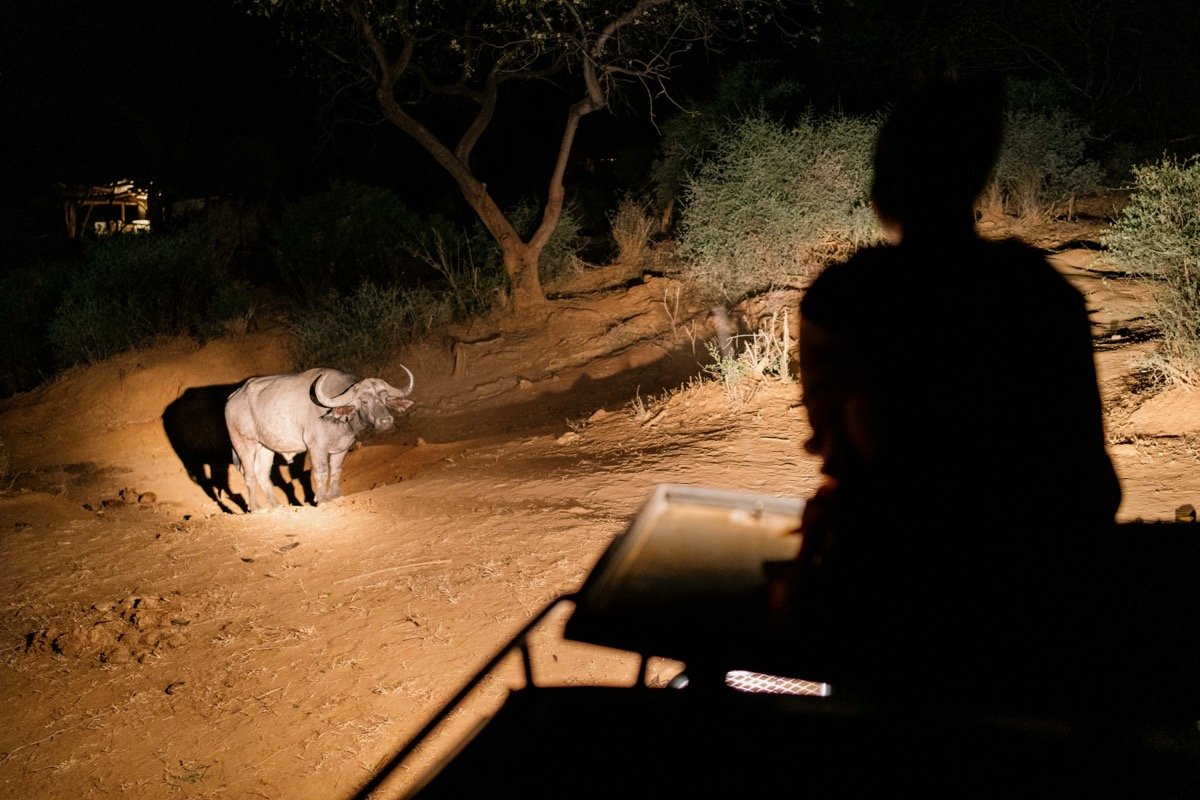 Holiday Finder tweet media