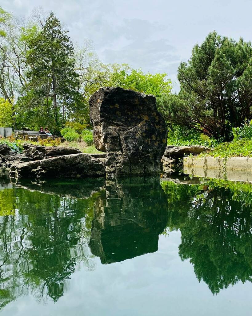 raeystudio's tweet photo. Calming.
#toronto #hamilton #ontario #nature #garden #rbgcanada #rbg 
@rbgcanada https://t.co/twGgGhYTB1 https://t.co/hEyW67UVOR