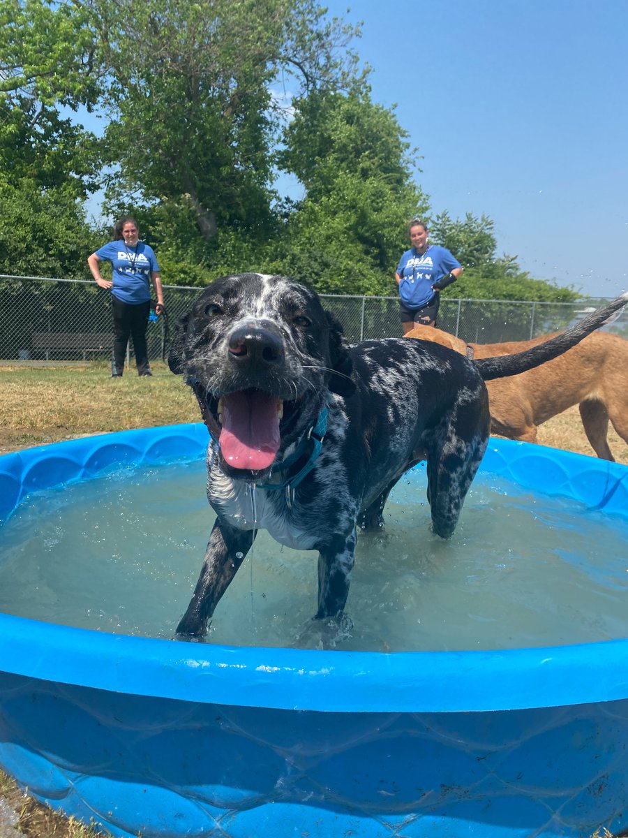 Humane Animal Partners tweet media