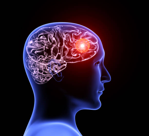 MU_MCW_BME's tweet photo. #Congrats! to Dr. Brandon Tefft of @MU_MCW_BME #CaRELab: 2-year R21 award from @NIH #NeurologicalDisorders and #Stroke for work titled, "Rapidly healing #FlowDiverters using #Magnetic #CellTargeting for #Intracranial #Aneurysm #Treatment" More: https://t.co/dFhTjoGuxN https://t.co/VjO82Vs1UF