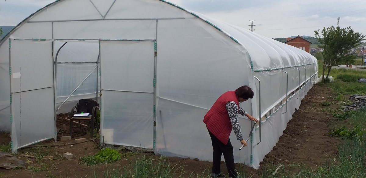 UNDP_Kosovo's tweet photo. Greenhouses🥬enabling sustainable farming and rural employment under the ALMP2 Project, in partnership with Employment Agency/ Ministry of Finance, Labor &amp; Transfers.

We're setting up the first batch of greenhouses, committed to farming for a sustainable future.🌾 https://t.co/B6niuAwS2M