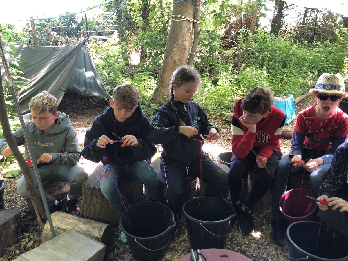 AlleynCourtMath's tweet photo. Year 6 forest school ‘gods eye weave’ #ACJubilee https://t.co/ew4AedsqIw