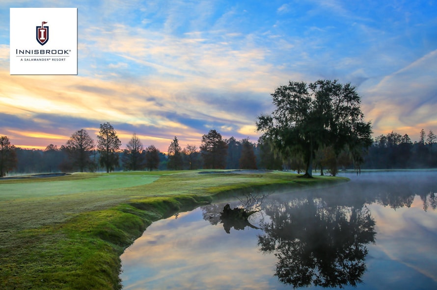 GroupGolferFL's tweet photo. $59 for a One-Time Member-for-a-Day Opportunity: 18 Holes with Cart and Range Balls on the Island Course at Innisbrook Golf Resort in Palm Harbor near Tampa ($239 Value. Includes Tax. Expires November 1, 2022!)

Click here for more info: https://t.co/LH4bcCTd03 https://t.co/hetWzE5sXO