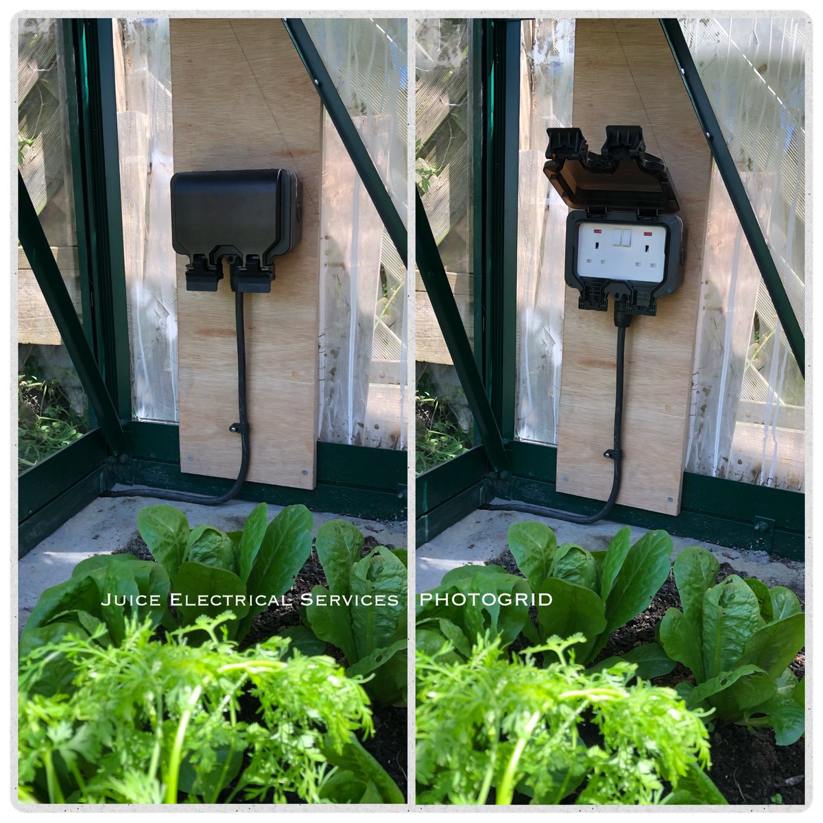 Cheeky little <a href="/KnightsbridgeML/">@KnightsbridgeML</a> Weatherproof Socket installed in a Greenhouse for a customer in #Bexhill this morning using <a href="/SWAonlineuk/">Specialised Wiring Accessories</a> Storm Glands &amp; Piranha Nuts 👌

Materials supplied by <a href="/CEWholesaleLtd/">Capital Electric Wholesale Ltd</a> in #Hailsham 👊