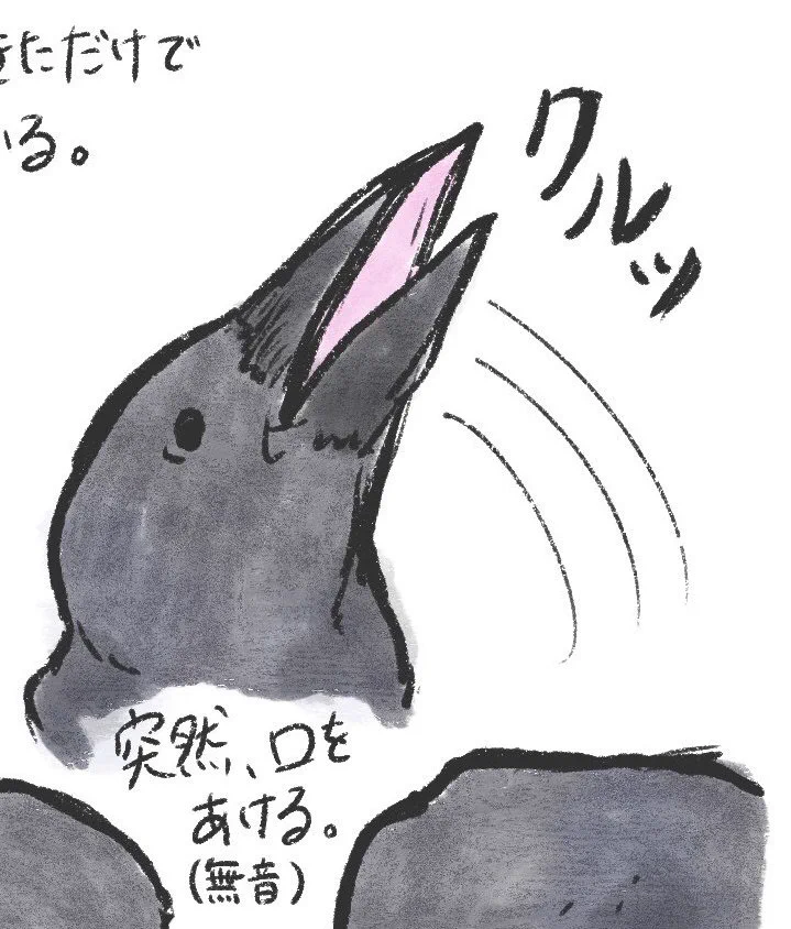 @pita_gooora @yoizumi_kumori あ～！
もしかして、親鳥からご飯をもらってた時の記憶がよみがえったのかな？☺️ 