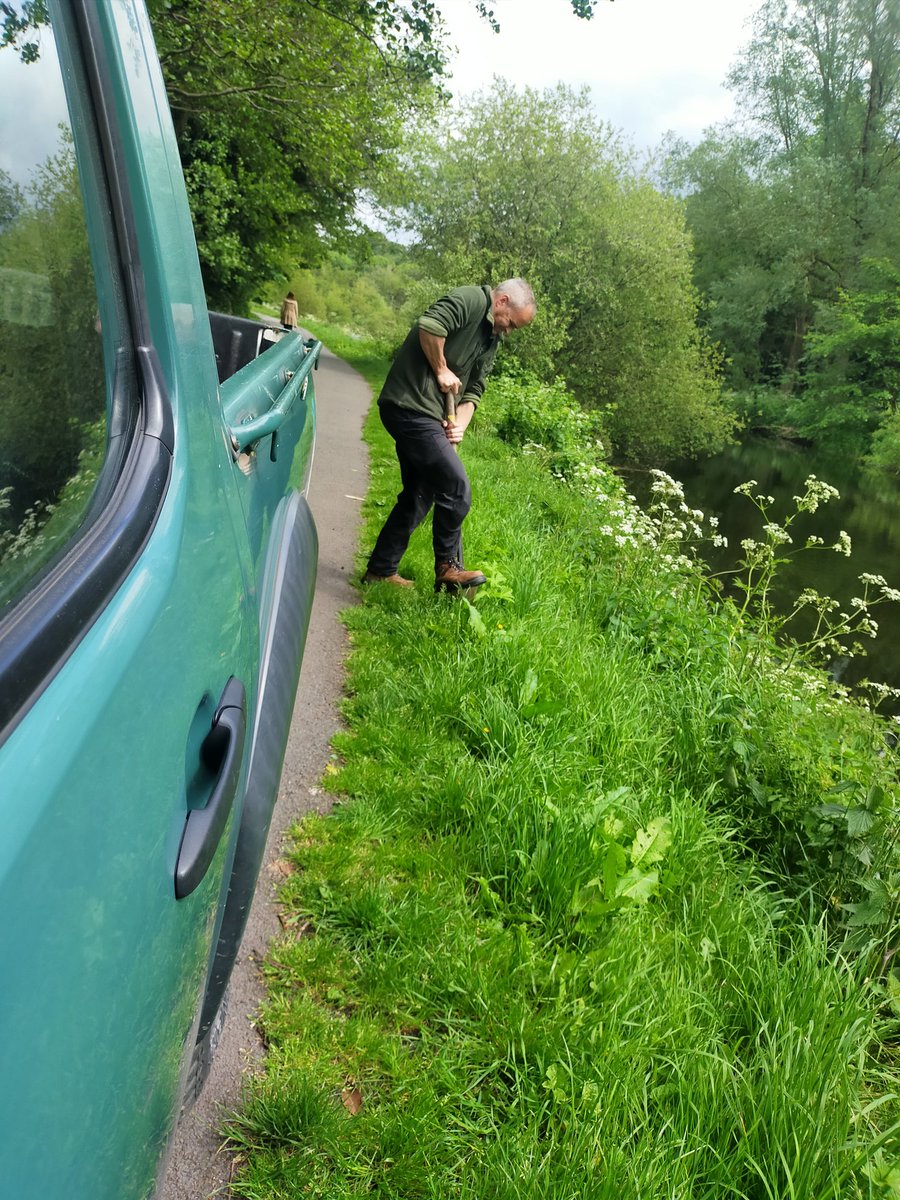 MeabhHarvey1's tweet photo. Day at the Lagan Tow Path with Park Ranger Dan and @Akeenanbelfast1, preparing for our American visitors from @Felician4U to @belfastbizskool Scoping visit on our day off...dedicated π
#BelFelEvolutionProject https://t.co/hNz87NLVl4