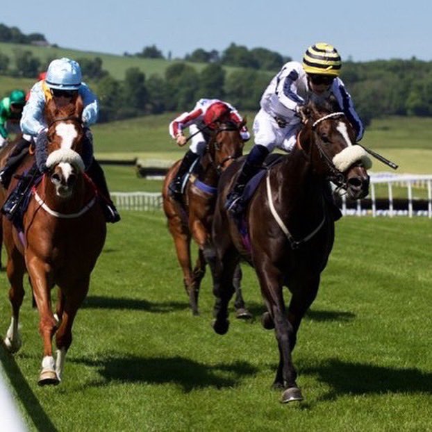 daviesharry_'s tweet photo. An unbelievable day spent @Chepstow_Racing riding my first treble aboard FOSSOS for Deborah Faulkner, SON AND SANNIE for @Archie_Watson and COMMONSENICAL for @hpalmerracing @MHS_HorseRacing https://t.co/r3u1YXpdTO
