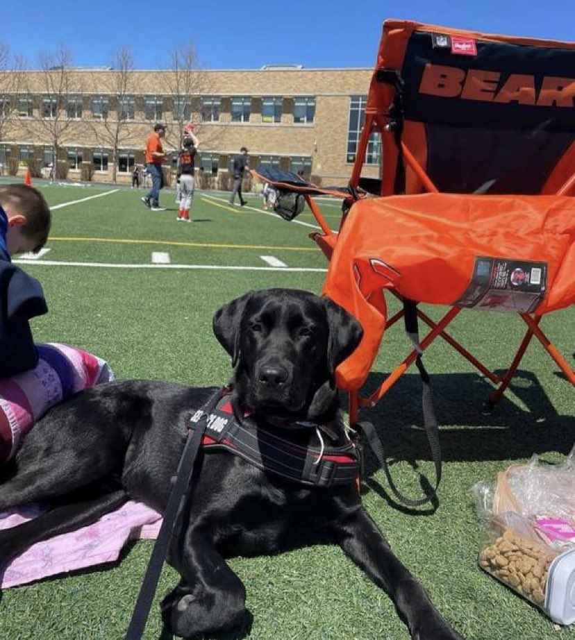 PGIdogs's tweet photo. Binny is ready for summer & all the fun that comes with it! ☀️🏈
•
•
•
#servicesdogsintraining #pgidogs #dogs #servicedogs #servicedogsofinstagram #dogsofpeoria #pgi #summer2022 #summervibes #summertime https://t.co/0VMdmsg50O