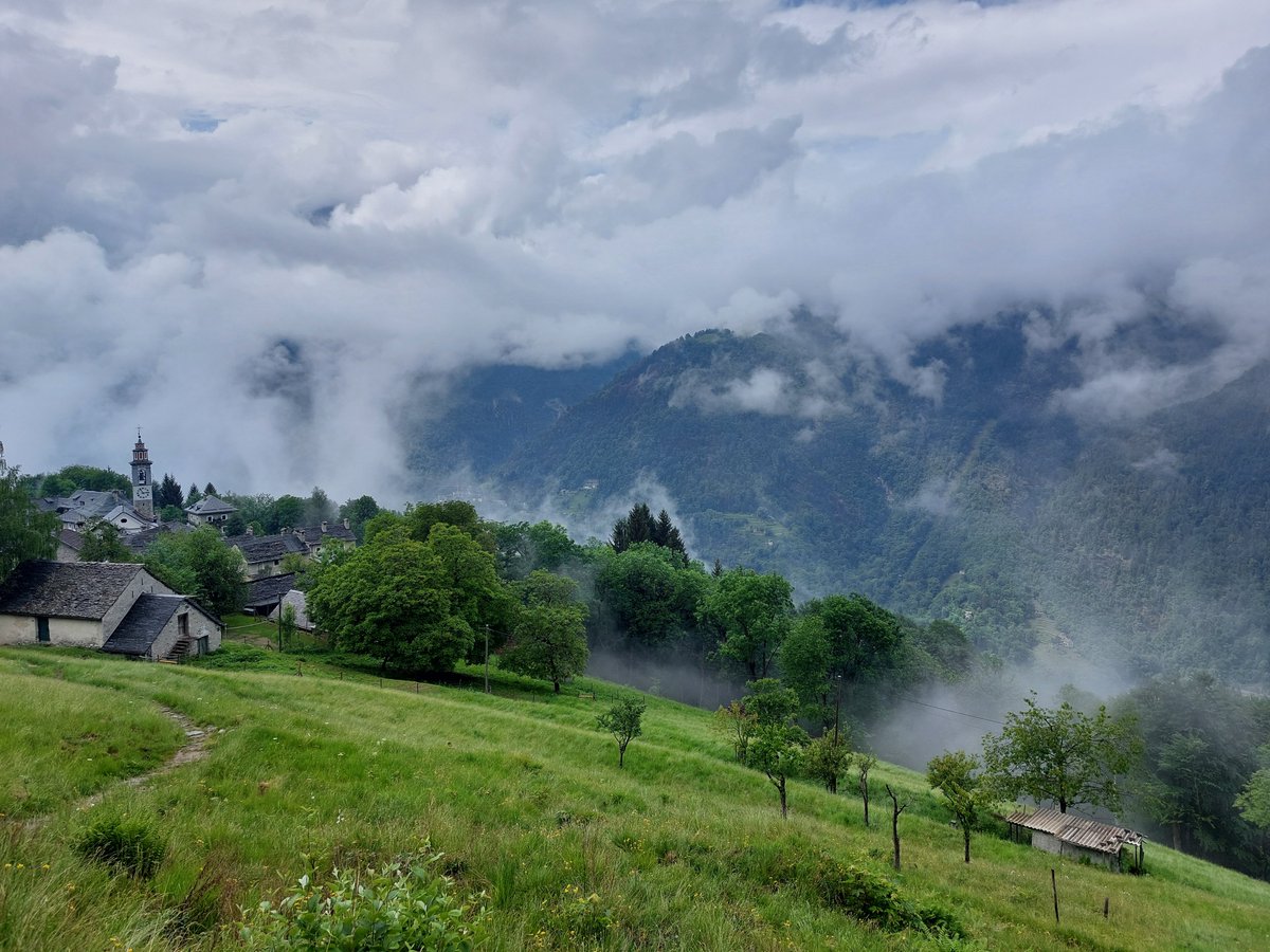 Roger Geiger Lab tweet media