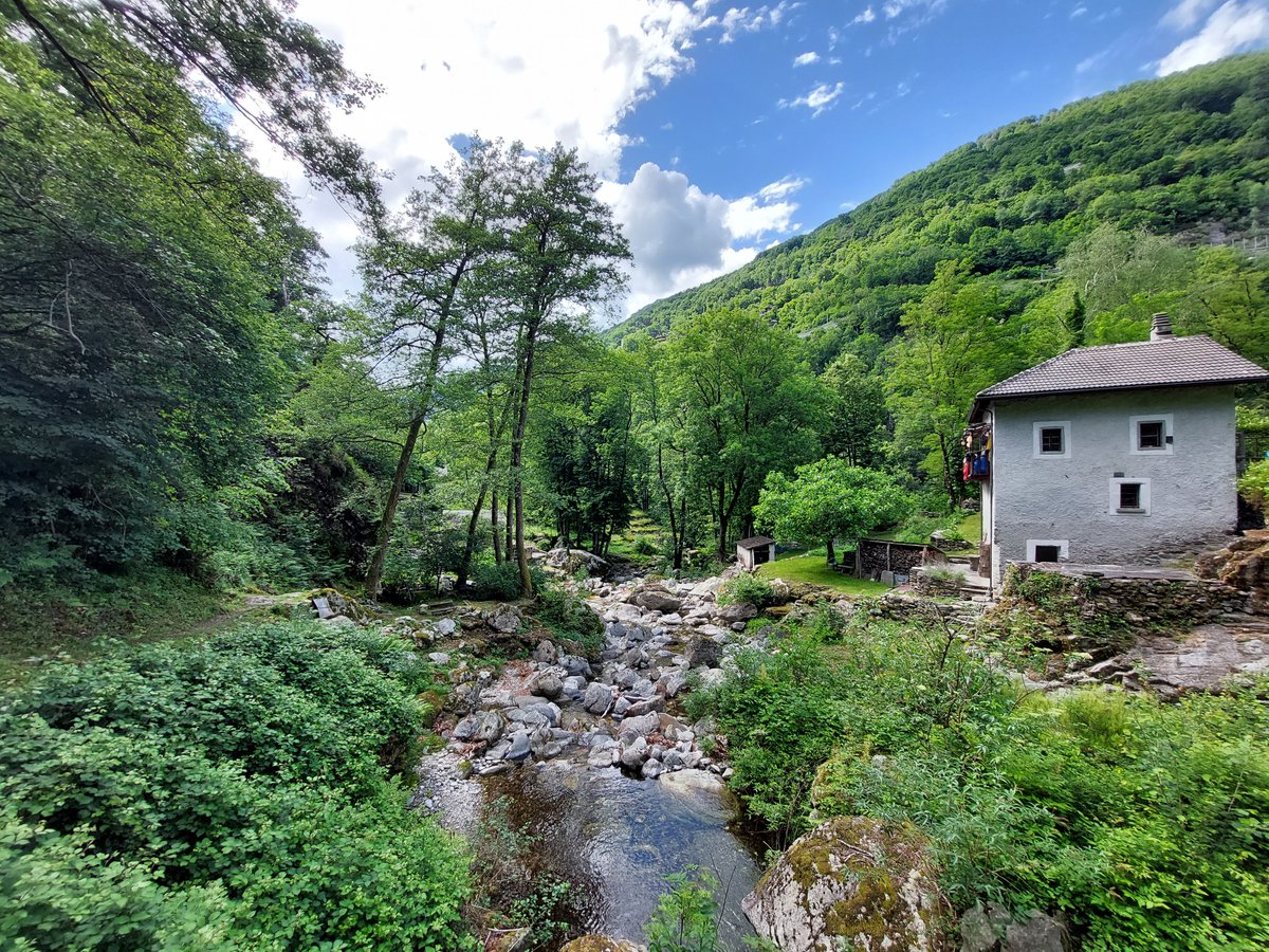 Roger Geiger Lab tweet media