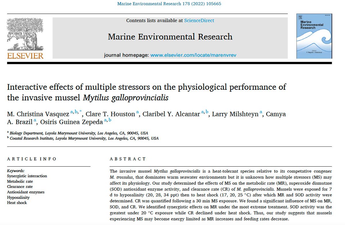 mcvasquez's tweet photo. It is with pleasure that I share the first publication from the Vasquez Lab at @SeaverLMU! "Interactive effects of multiple stressors on the physiological performance of the invasive mussel Mytilus galloprovincialis." https://t.co/soSyAiPZ9v https://t.co/d54WbG3mj9
