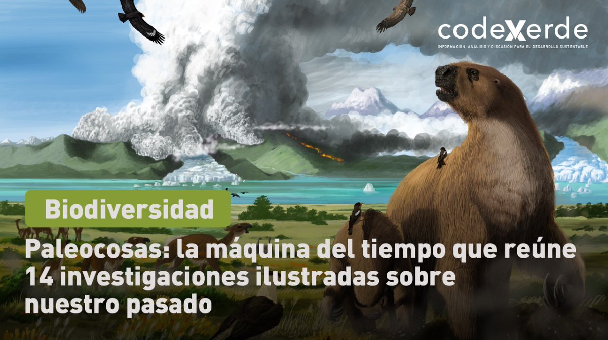 Codexverde (@codexverde) on Twitter photo La segunda edición de este libro, desarrollada por el <a href="/IEBChile/">Instituto de Ecología y Biodiversidad - IEB</a>, junto a un equipo interdisciplinario, funde ciencia y arte para mostrar cómo era nuestro país hace miles y millones de años atrás bit.ly/3NGbYei La segunda edición de este libro, desarrollada por el <a href="/IEBChile/">Instituto de Ecología y Biodiversidad - IEB</a>, junto a un equipo interdisciplinario, funde ciencia y arte para mostrar cómo era nuestro país hace miles y millones de años atrás bit.ly/3NGbYei