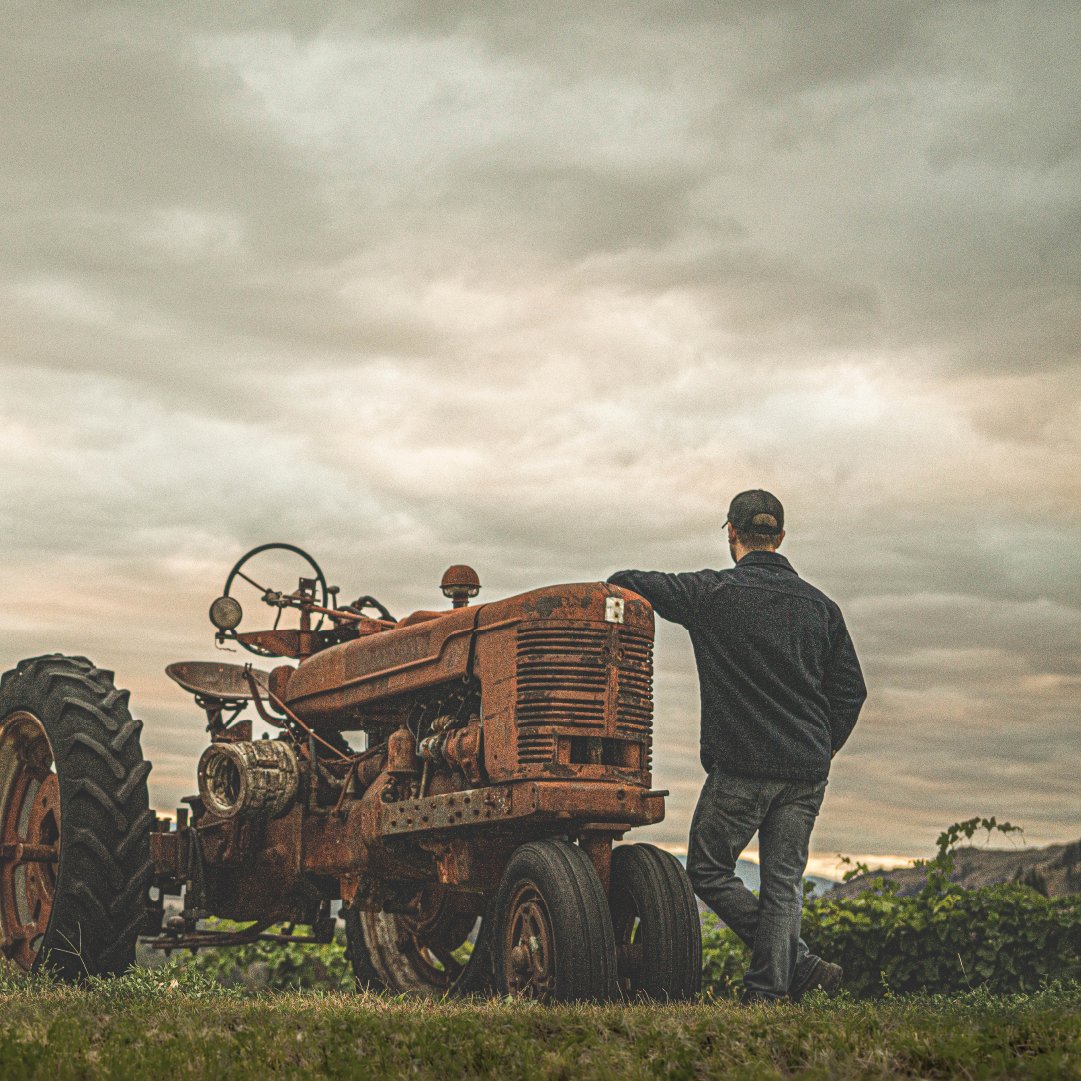 Road13Vineyards's tweet photo. Rain or shine, it's wine time. The Farmer's Almanac predicted spring temperatures and precipitation to be near or above normal. Because we are farming in a desert that brings some serious summer heat, a wet spring is music to our ears. https://t.co/N9kBBqnS34