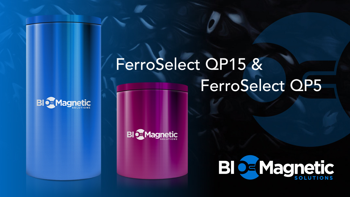 Benchtop magnetic cell selection that scales!
 
Our FerroSelect Quadrupole Magnets are here to help with your cell separation needs.  

Find out more about our quadrupoles here: bit.ly/3G804HK  

#BioMagneticSolutions #Biotech