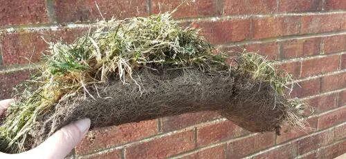 GutterProSophie's tweet image. Wondering why your gutters are blocked?

you could have something like this beast lurking in there!

#gutterpro #guttercleaning