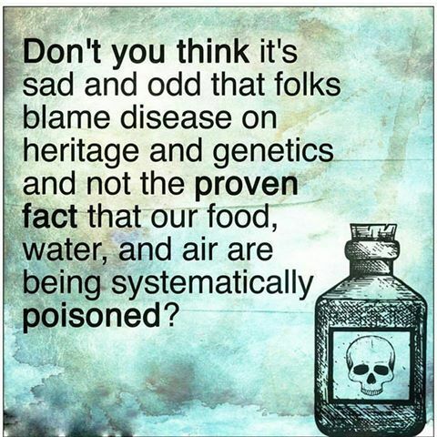 OrganicLiveFood's tweet photo. Top 10 #Toxic Foods, #Preservatives and #Additives: https://t.co/TVxWju4fak Brominated #vegetableoil is used 2 keep flavor oils in #softdrinks in suspension. Bromate, the main ingredient of BVO, is a #poison https://t.co/iI9padKJvG