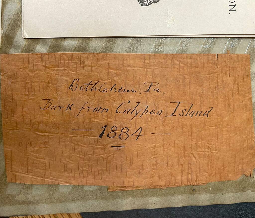 Excited to discover in a student scrapbook a piece of tree bark from Calypso Island which disappeared from Lehigh River around 1920s. The island had a picnic area and an amusement park, and it was destination for canoe races for Lehigh students while the… instagr.am/p/CeEKMfWLqAh/