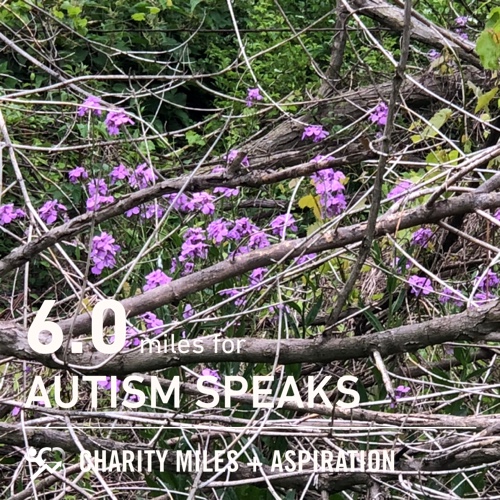 HHGStudio's tweet photo. 6.0 @CharityMiles for @autismspeaks. https://t.co/Cp8GCz2W4z