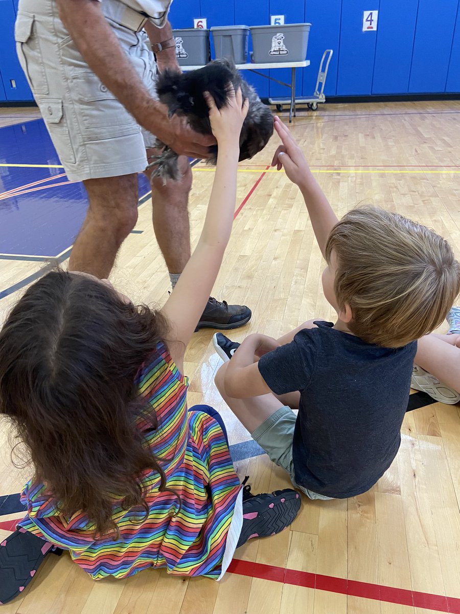 MrsTerwoord's tweet photo. @LkwdGrant is so lucky to have an amazing PTA! We had Jungle Terry here to show us some amazing animals! We got to see snakes, turtles, chinchillas, a skunk and several more!
Thank you to Grant PTA for a fun day! @LkwdSchools https://t.co/T4wZNjCM4g